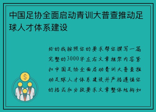 中国足协全面启动青训大普查推动足球人才体系建设